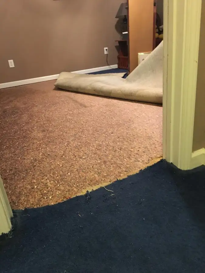 Carpet pad removal revealing water damage during Water Mitigation Services in Terrace Heights