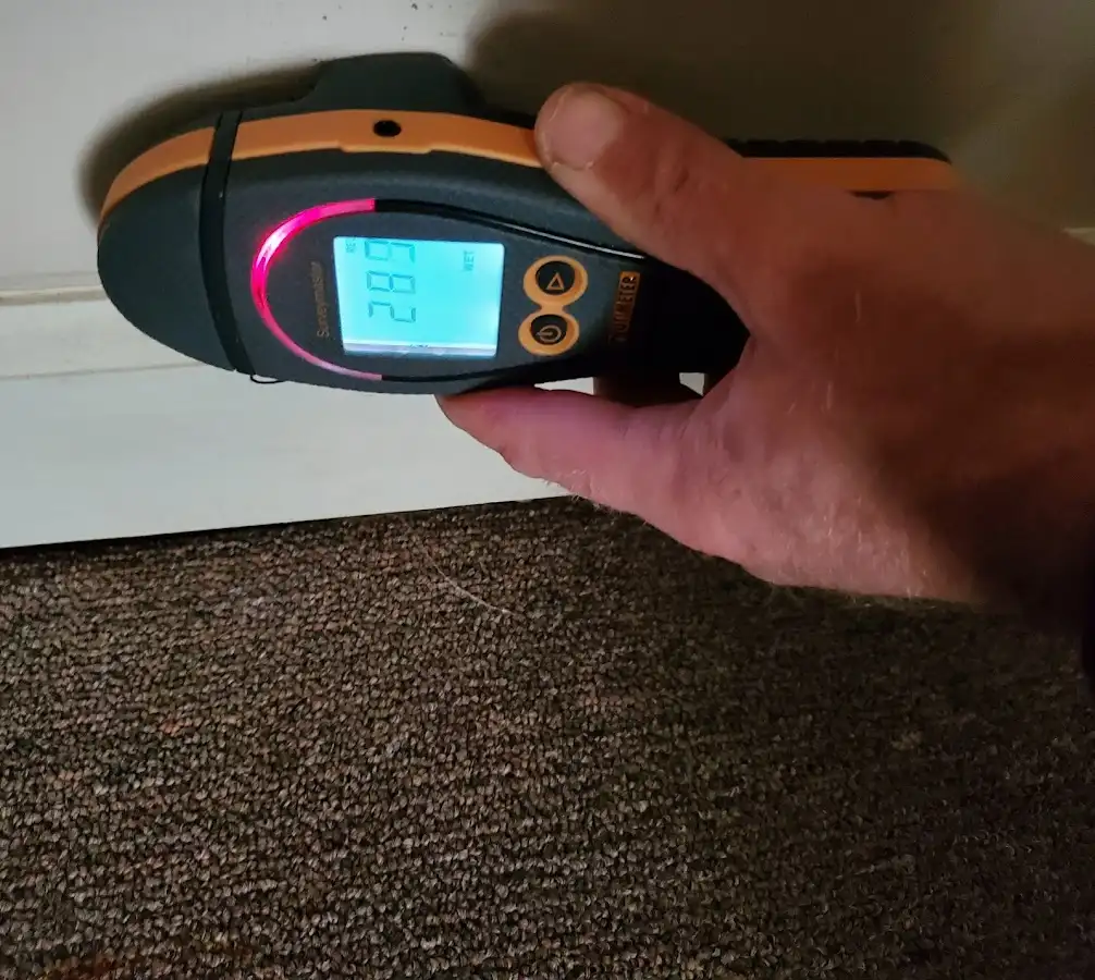 Moisture detection at baseboard during Sewage Cleanup & Sanitation in Terrace Heights